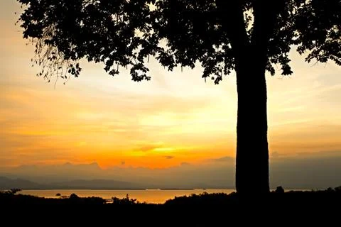 Sunrise behind tree Stock Photos