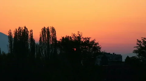 A sunrise behind the trees  Stock Footage 698043