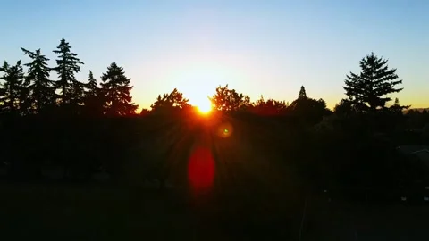 Sunrise behind the trees Stock Footage 137278423