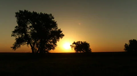 Sunrise Behind Trees on the Prairie Timelapse Stock Footage