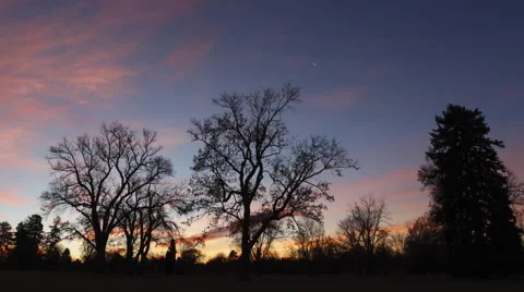 Sunrise behind Trees Time Lapse Stock Footage