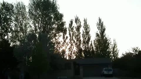 Sunrise-behind-trees-timelapse 動画素材 12614264