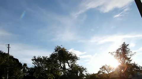 Sunrise between trees Video stock 22355785