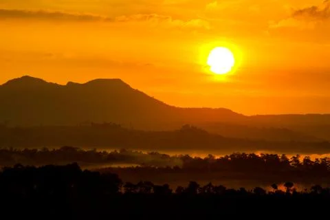 Sunrise beyond the forest Stock Photos