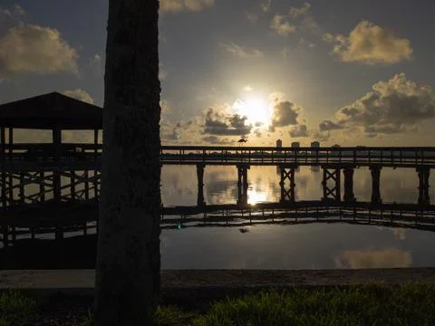 Sunrise bird Stockfoto's