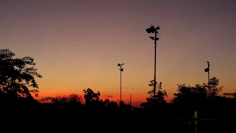 Sunrise Birds Flying in The Park Stock Footage 129454701