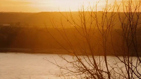 Sunrise birds river trees Stock Footage 83353029