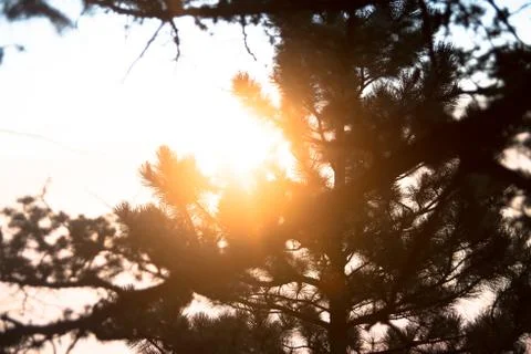 Sunrise in Boulder Stock Photos