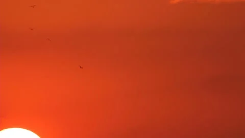 Sunrise on bright sky Stock Footage 90042828