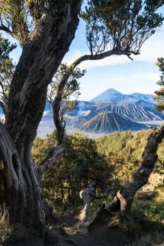 The sunrise of the Bromo volcano, Shot in Java, indunesia Stock Photos