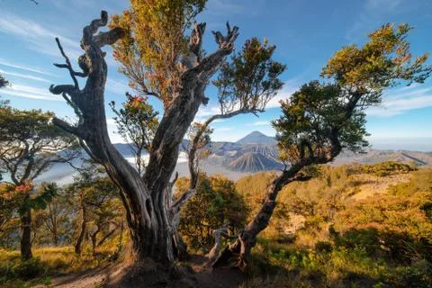The sunrise of the Bromo volcano, Shot in Java, indunesia 스톡 사진