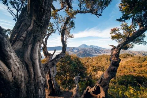 The sunrise of the Bromo volcano, Shot in Java, indunesia 스톡 사진