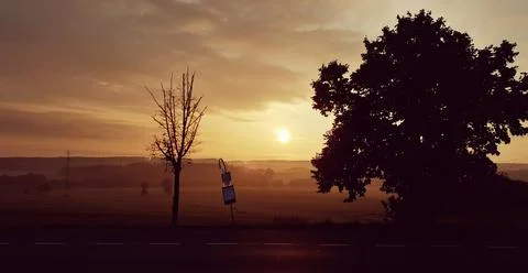 Sunrise at the bus stop. Fotos Stock