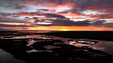 Sunrise Camarque Stock Footage 231821103