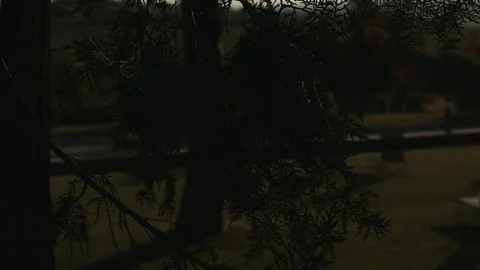 Sunrise in camp Stock Footage 76359592