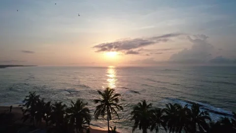 Sunrise, Cape Coast, Ghana, pull back with swifts Video stock 229012974