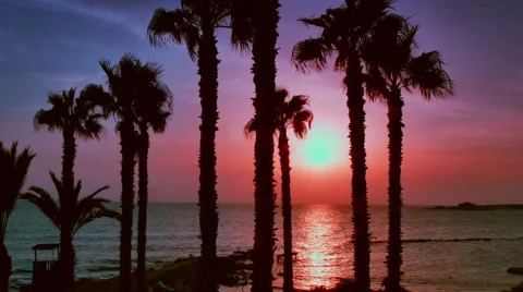 Sunrise on Caribbean beach Stock Footage 55296848