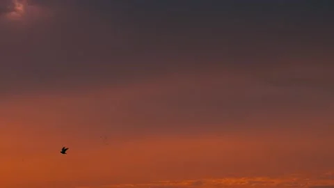 Sunrise in the city 스톡 동영상 210555347