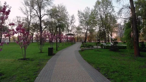 Sunrise in the city park Stock Footage 129592001