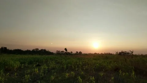 Sunrise with clear sky Video stock 205242337