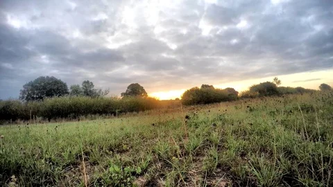 Sunrise with Clouds Time Lapse Stock Footage 93897285