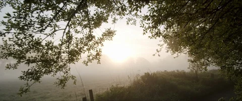 Sunrise in the Country Video stock 129308857