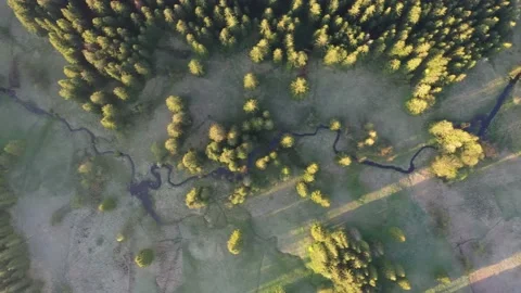 Sunrise in the countryside Stock Footage 229500649