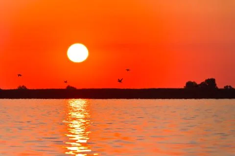 Sunrise in the danube delta Stock Photos