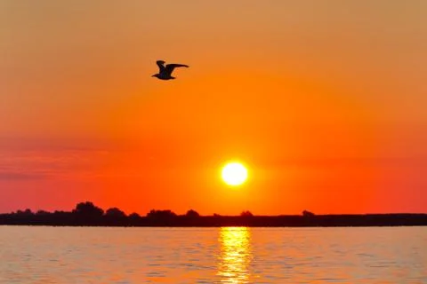 Sunrise in the danube delta Stock Photos