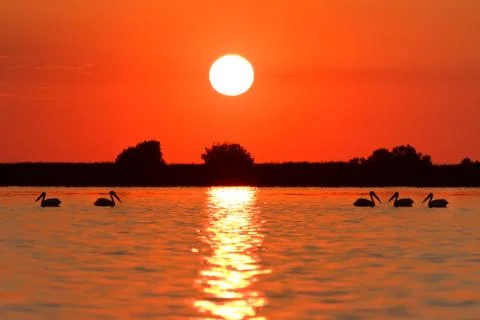 Sunrise in the danube delta Stock Photos