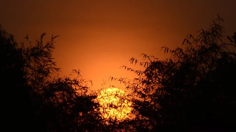 Sunrise in dawn. HD Stock-Footage 41882754