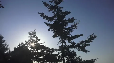 Sunrise on the deck overlooking the ocean Stock Footage 50117163