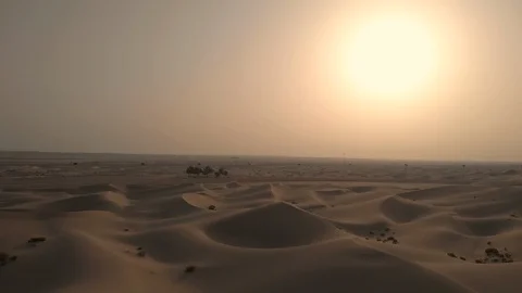 Sunrise in the desert in the dunes Stock Footage 122032144
