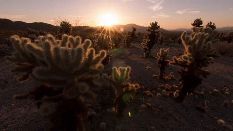 Sunrise with Desert Landscape timelapse Stock Footage 84350061