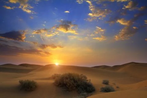 Sunrise in desert Fotos de archivo