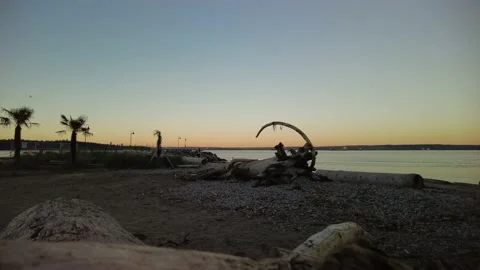 Sunrise On Dinosaur Beach Stock Footage 202000666