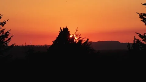 Sunrise Disk Lifting Over Dark Pine Forest Silhouette Stock Footage 340572985