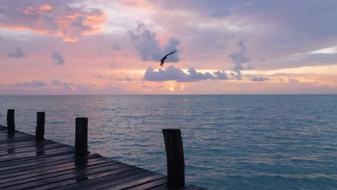 Sunrise at docks of Punta Allen Stock Footage 178077536