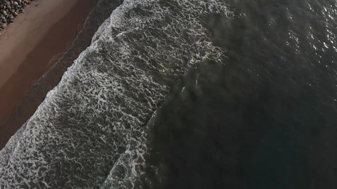 Sunrise Drone Over Waves and Beach with Dogs Playing 库存影片 100656212