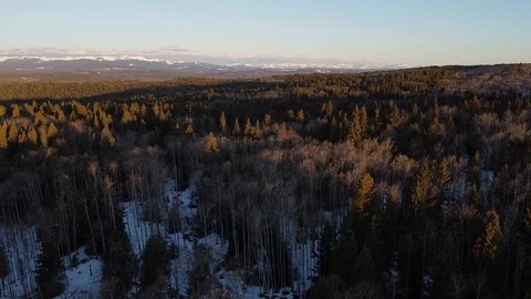 Sunrise Drone Shot Over Trees Towards Mountains Stock Footage 129049345