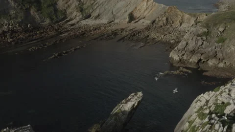 Sunrise drone view of Cliffs with seagulls flying in Spain 4K Stock Footage 137706911