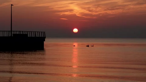 Sunrise with ducks Stock Footage 315416987