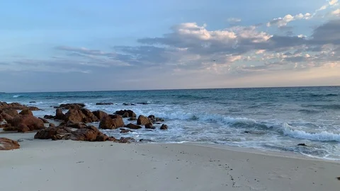 Sunrise Eagle Bay with Tern flying past Stock Footage 106484664