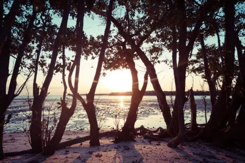 Sunrise in Everglades Stock Photos