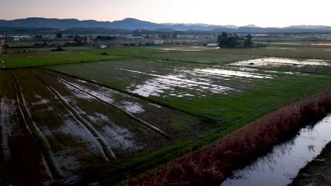 Sunrise farm Background Texture 4 K Aerial View 4K Stock Footage 221946394
