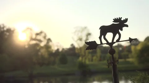 Sunrise on the Farm Stock Footage 101256154