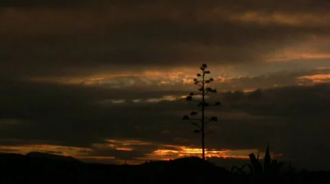 Sunrise in fast motion 스톡 동영상 298641