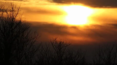 Sunrise in a Field Stock Footage 25001100