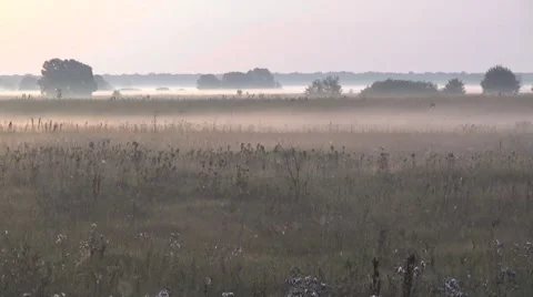 Sunrise in the field 스톡 동영상 52744693