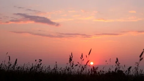 Sunrise in field Stock Footage 77784170